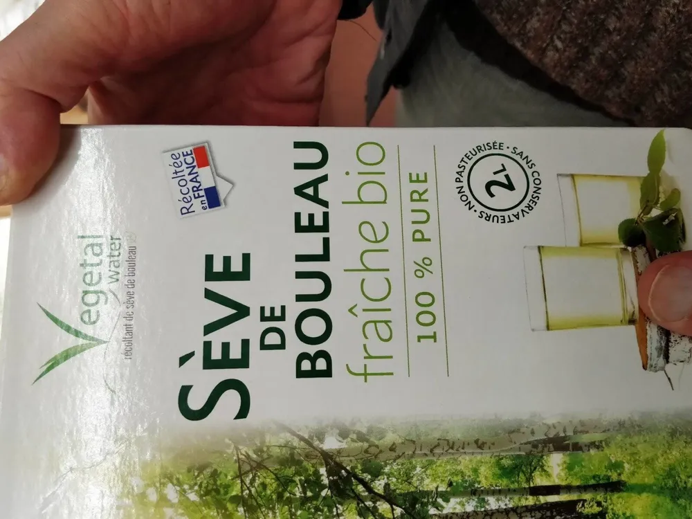 Sève de Bouleau