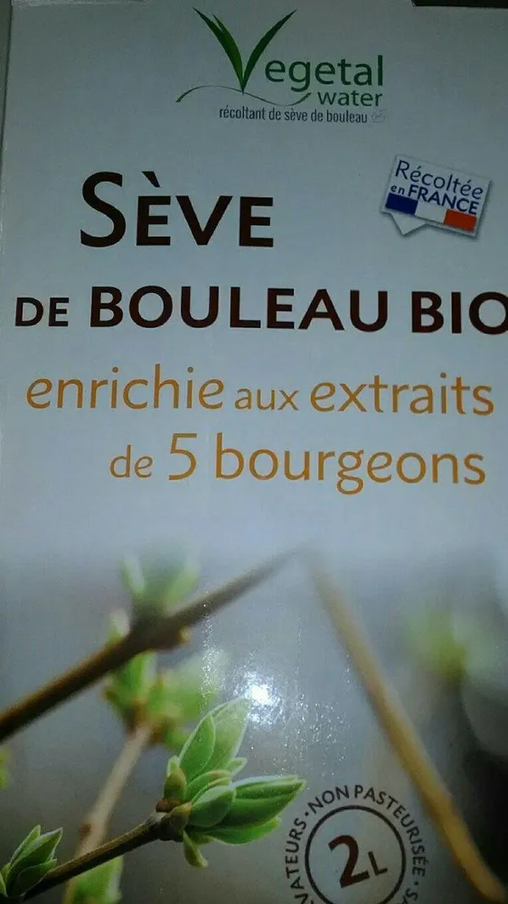 Seve de bouleau aux 5 bourgeons