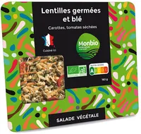 Salade lentilles germées et blé