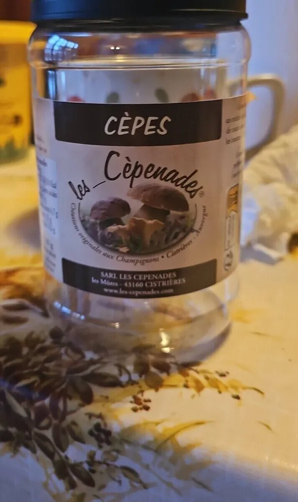 Champignons secs