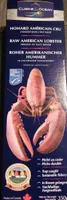Homard américain cru