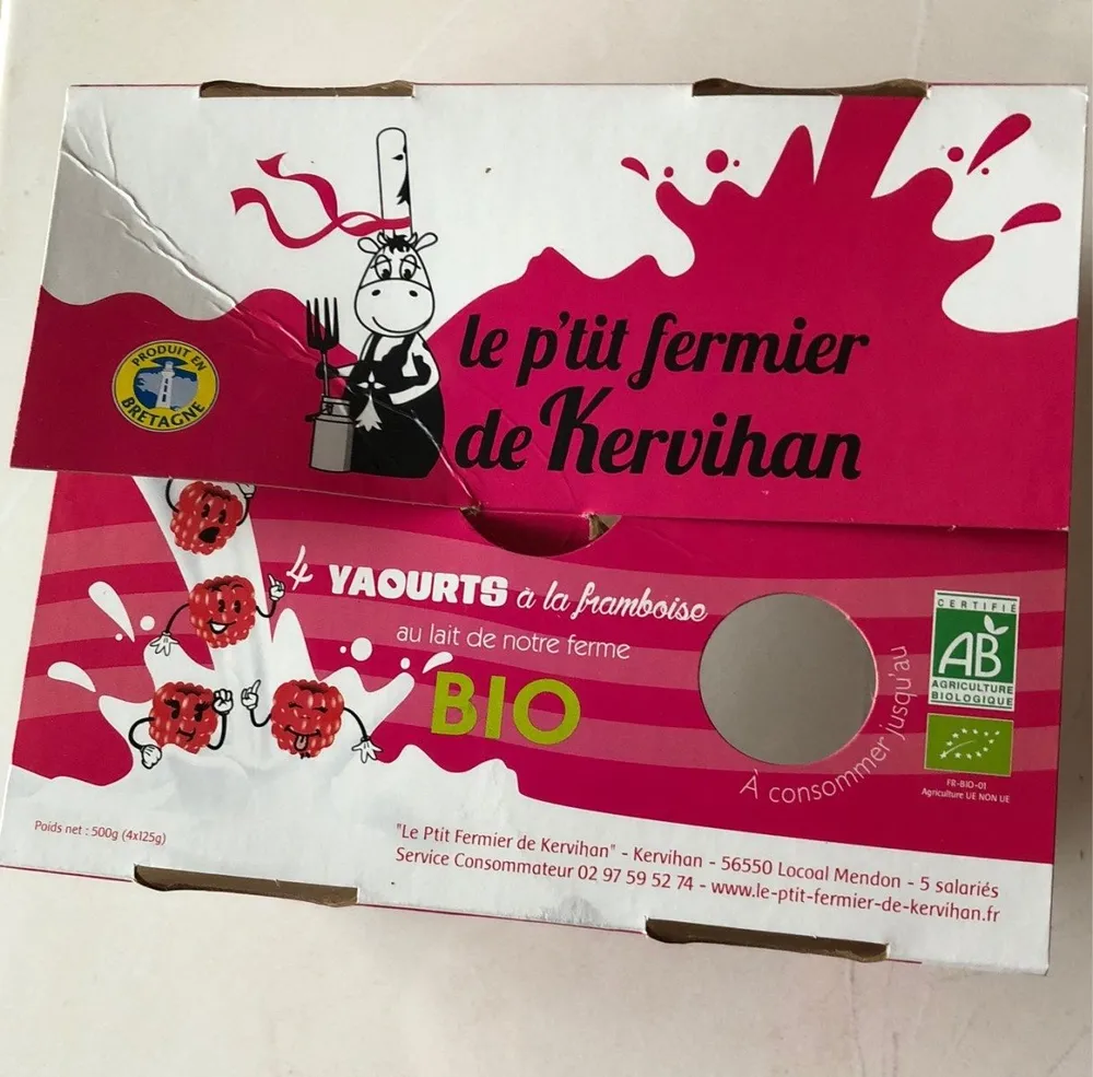 4 yaourts à la framboise