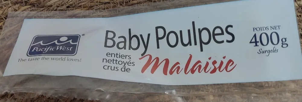 Baby poulpes
