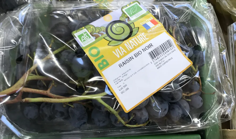 Raisin bio noir