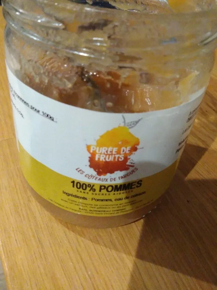 Purée de fruits 100 % pommes
