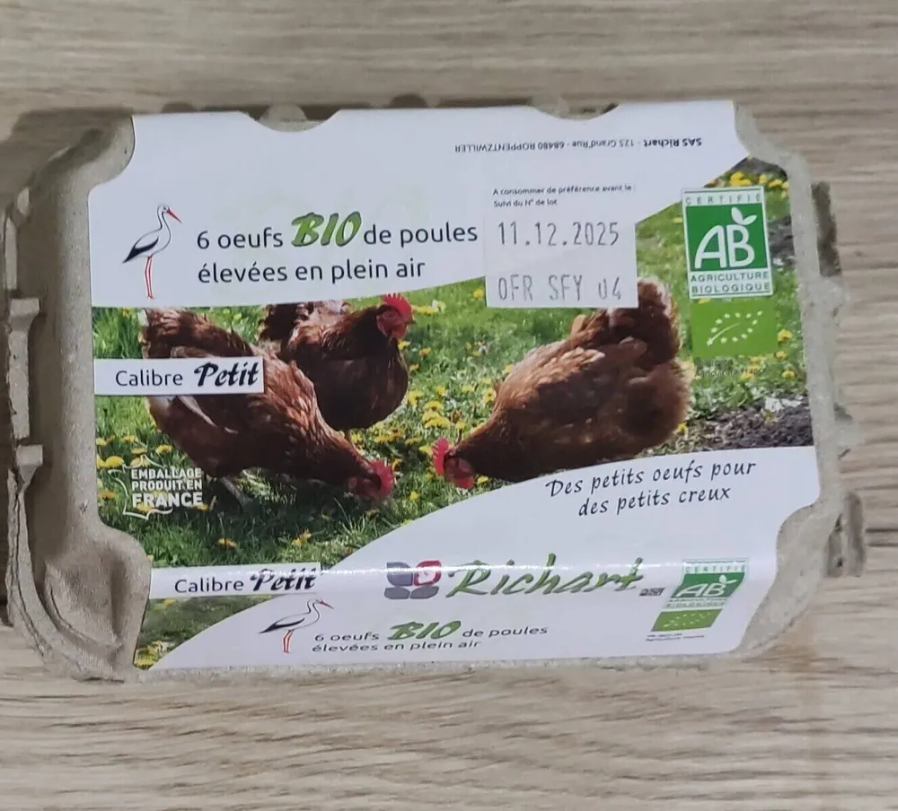 6 oeufs bio