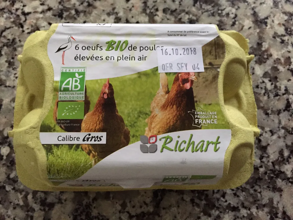 6 œufs bio de poules élevées en plein air, calibre gros