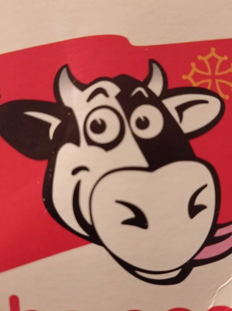 Yaourt de la ferme brassé sur lit de fraise