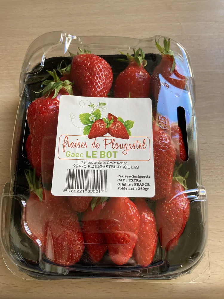 Fraises de Plougastel