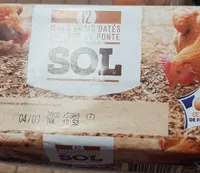 Oeuf frais datés du jour de ponte sol