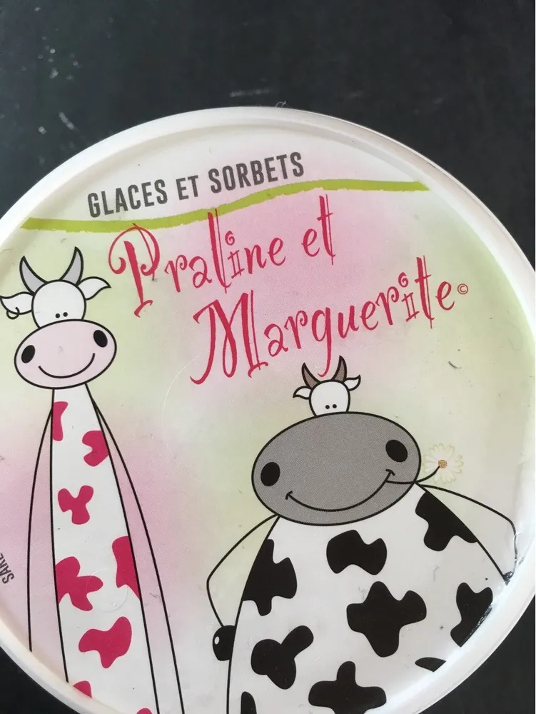 Sorbet et glace noix de coco