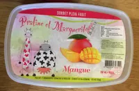 Sorbet plein fruits mangue