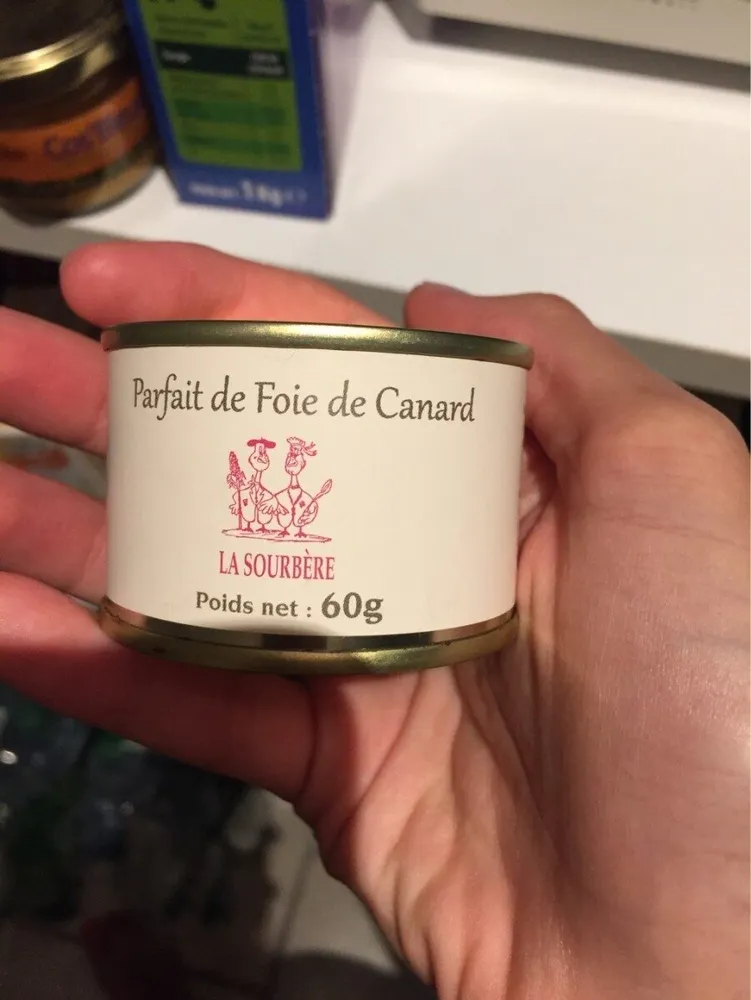 Parfait foie de canard