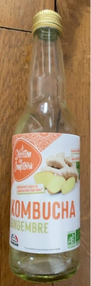 Kombucha gingembre
