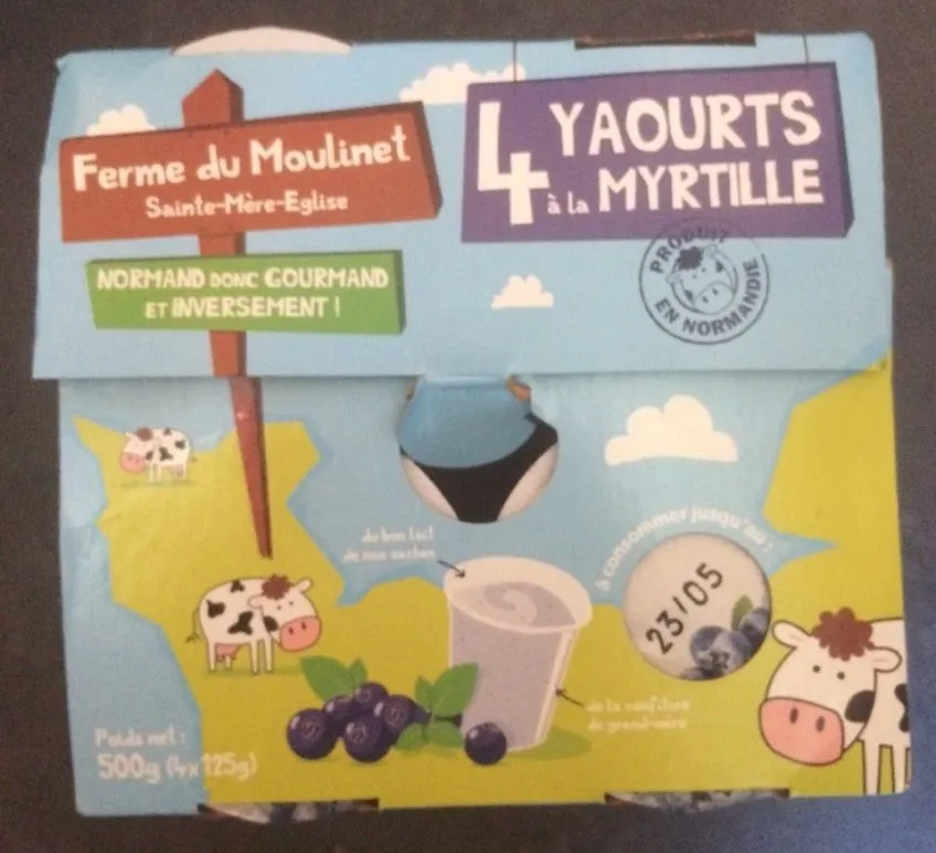 Yaourt a la myrtille