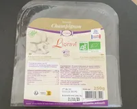 Ravioli Champignon