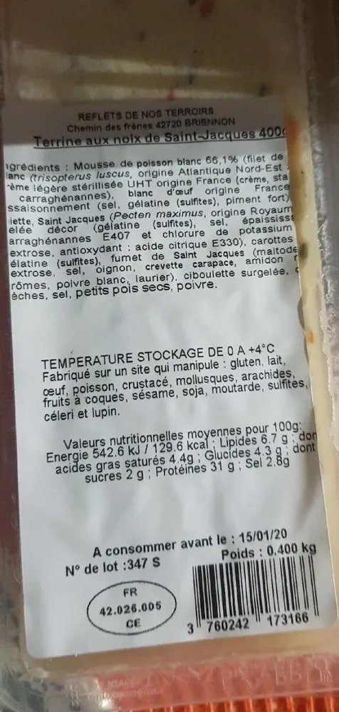 Terrines aux noix de saint Jacques