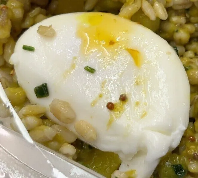 Salade d’orge perlé, oeuf poché, crème de petit pois…