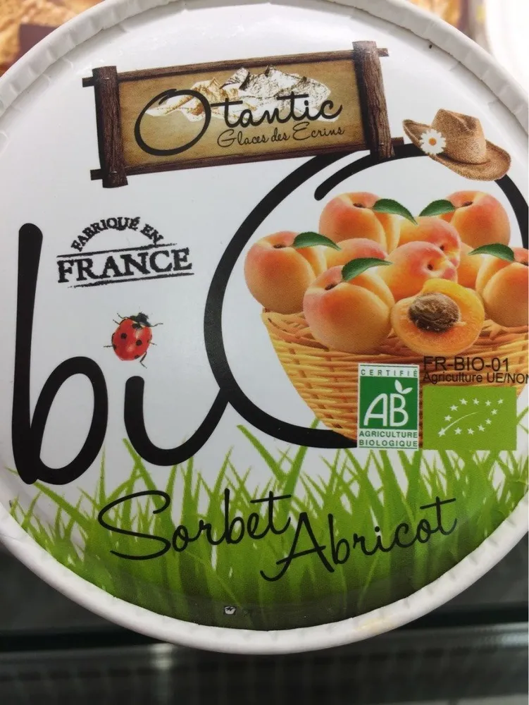 Sorbet abricot bio
