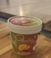 Sorbet Mangue BIO