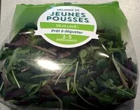 Mélange de Jeunes Pousses