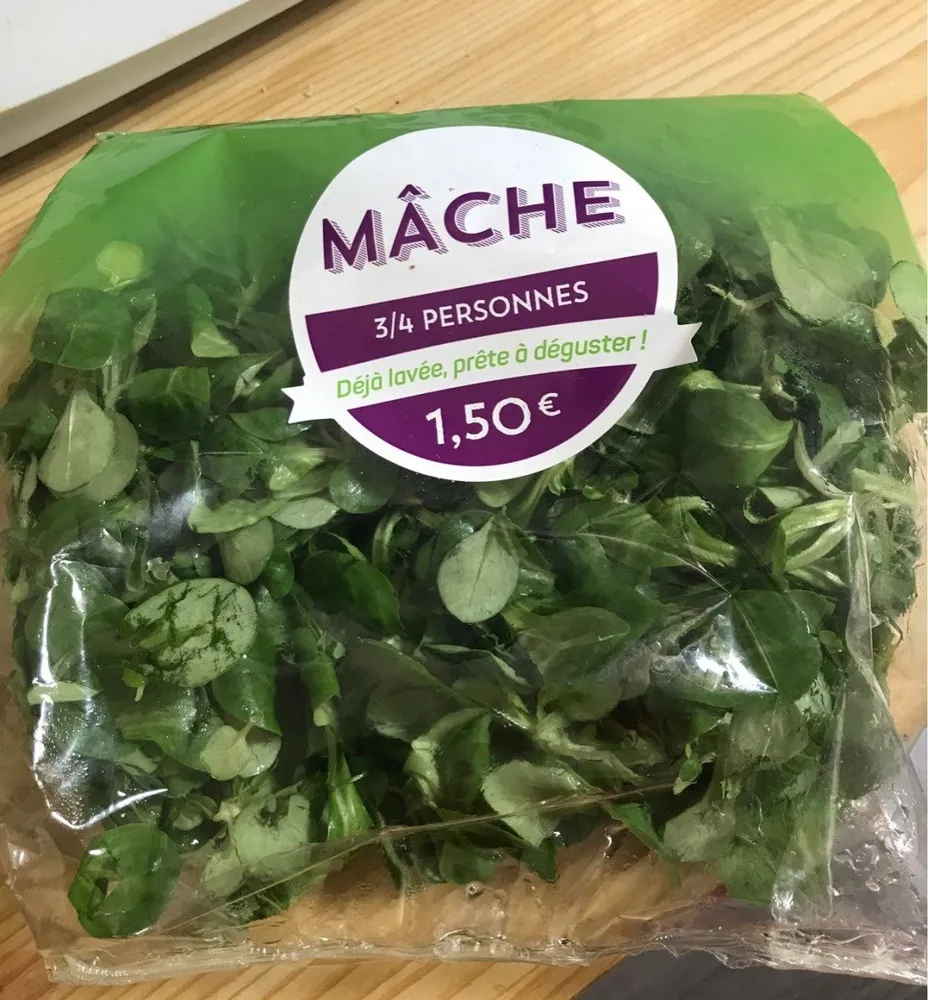 Mâche