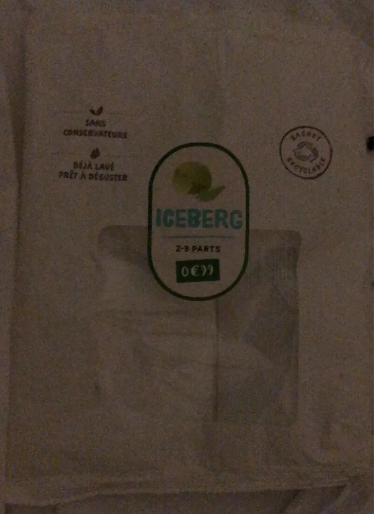 Iceberg prete a l’emploi
