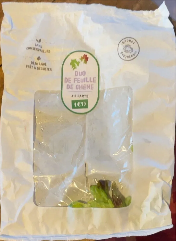 Duo de feuille de Chêne