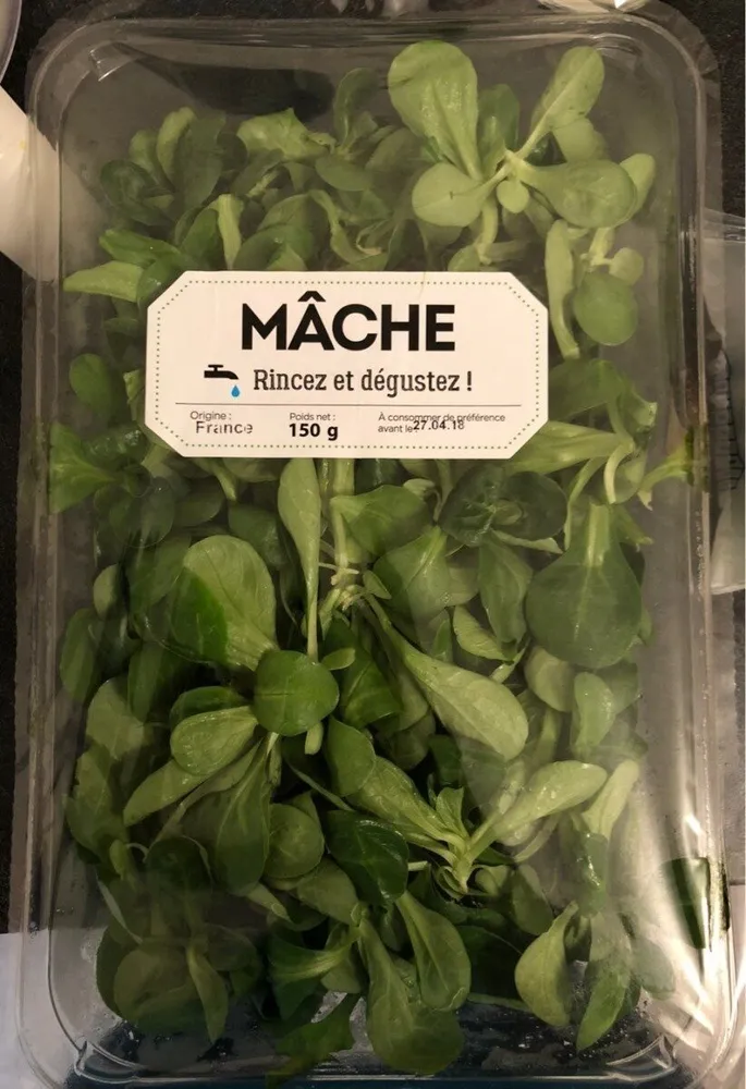 Mâche