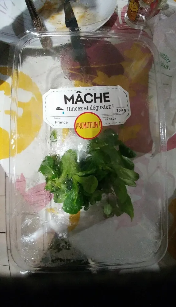 Mache salade