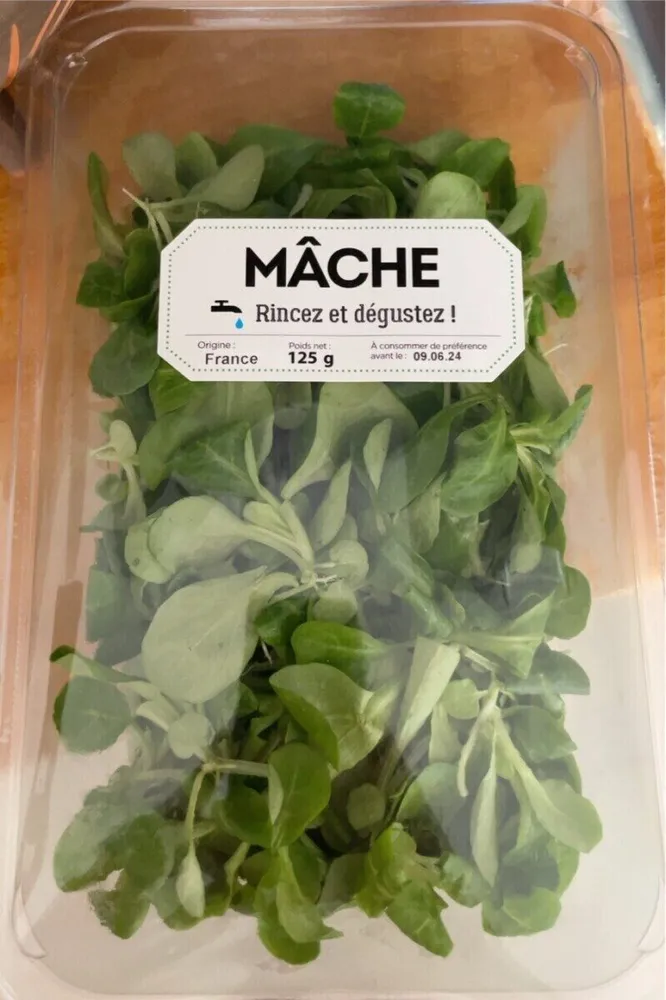 Mâche