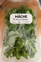 Mâche