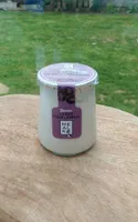 Yaourt Mealk - Saveur Cassis Fleur de Sureau