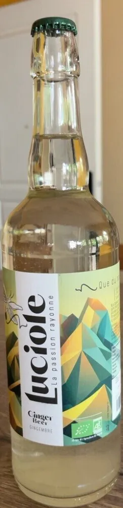Ginger Beer Gingembre
