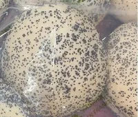 Brioche Burgers graines de pavot