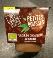 Dessert végétal cacao