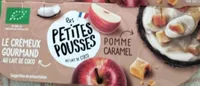 Dessert végétal au lait de coco pomme caramel bio