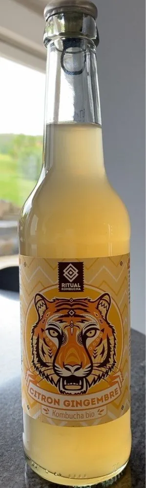 Citron gingembre kombucha bio