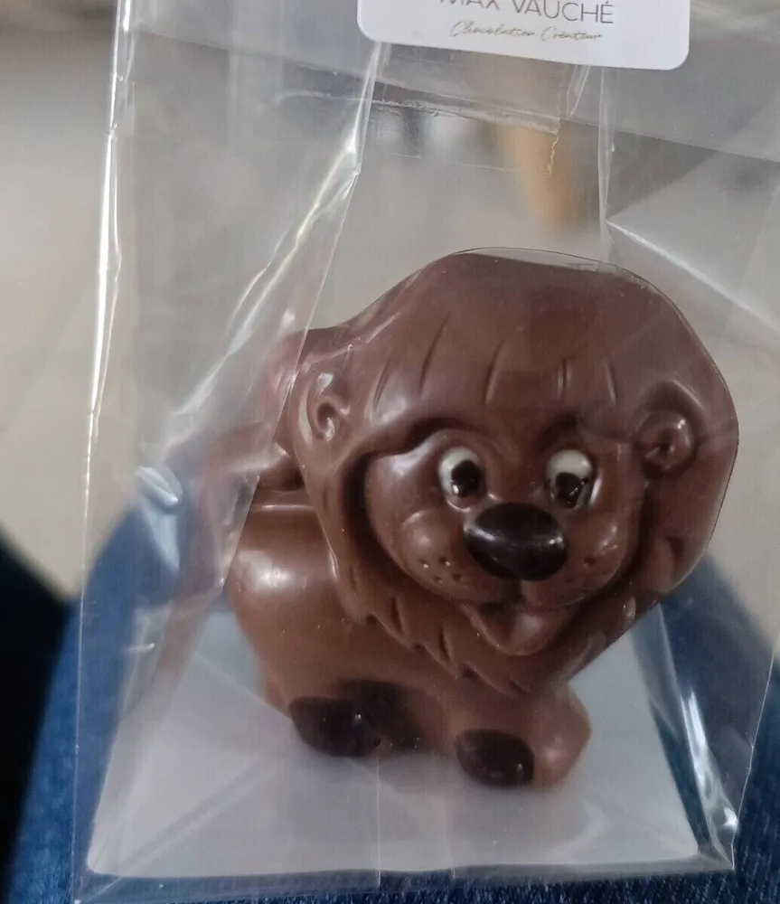 Mini lion lait