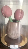 Pot de tulipe