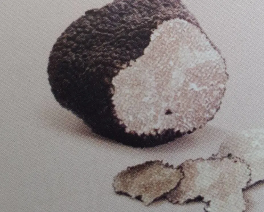 Sauce à la truffe