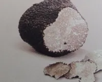 Sauce à la truffe