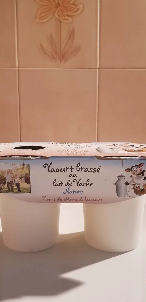 Yaourt brassé au lait de vache