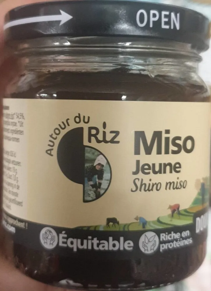 Miso jeune