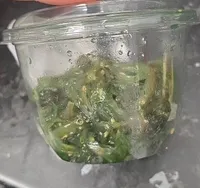 Salade wakame