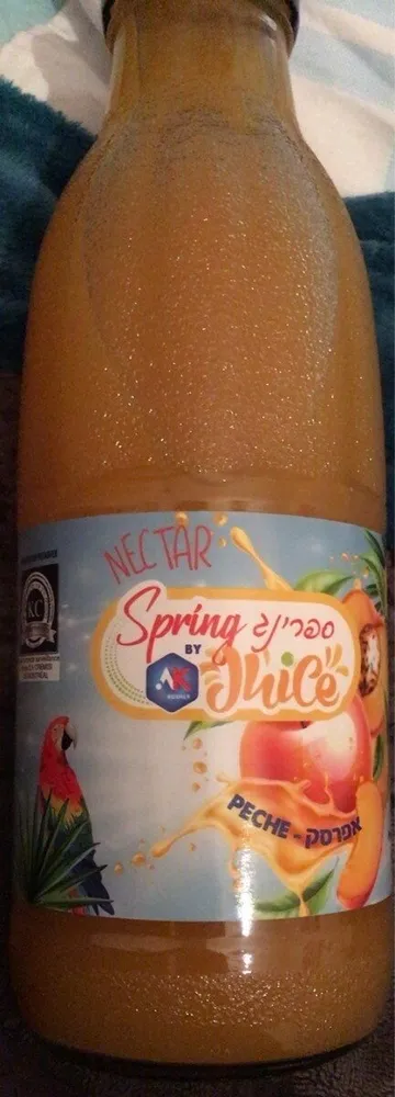 Sping Pêche