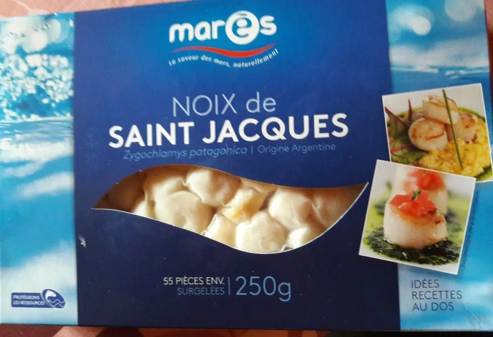 noix de Saint Jacques