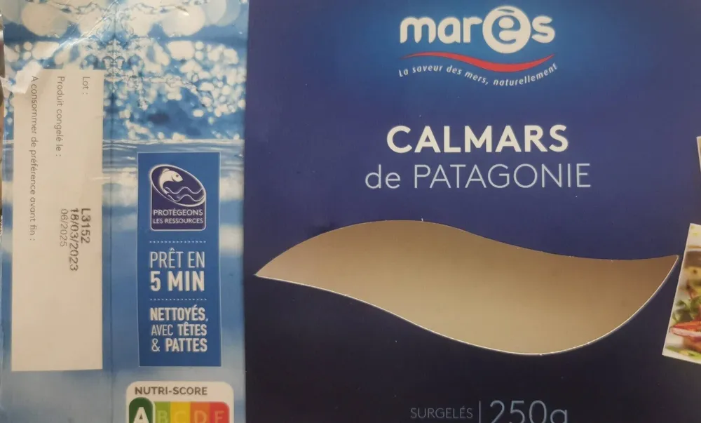 Calmars de Patagonie