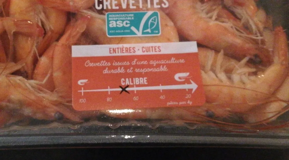 Crevettes cuites refrigeree