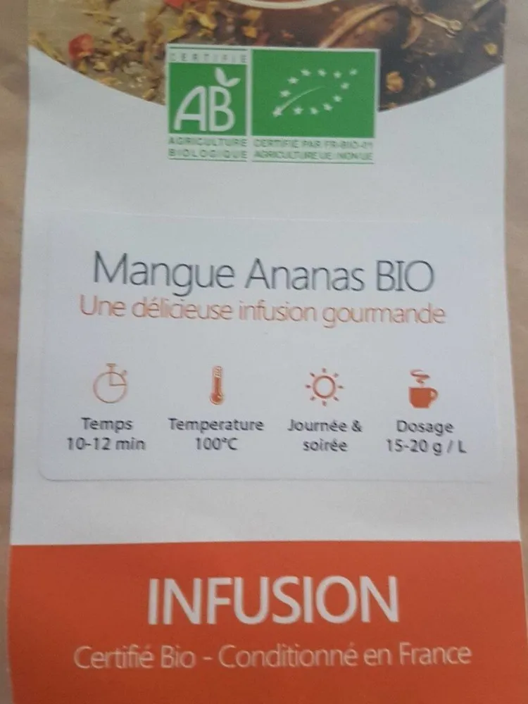 Infusion Mangue Ananas BIO